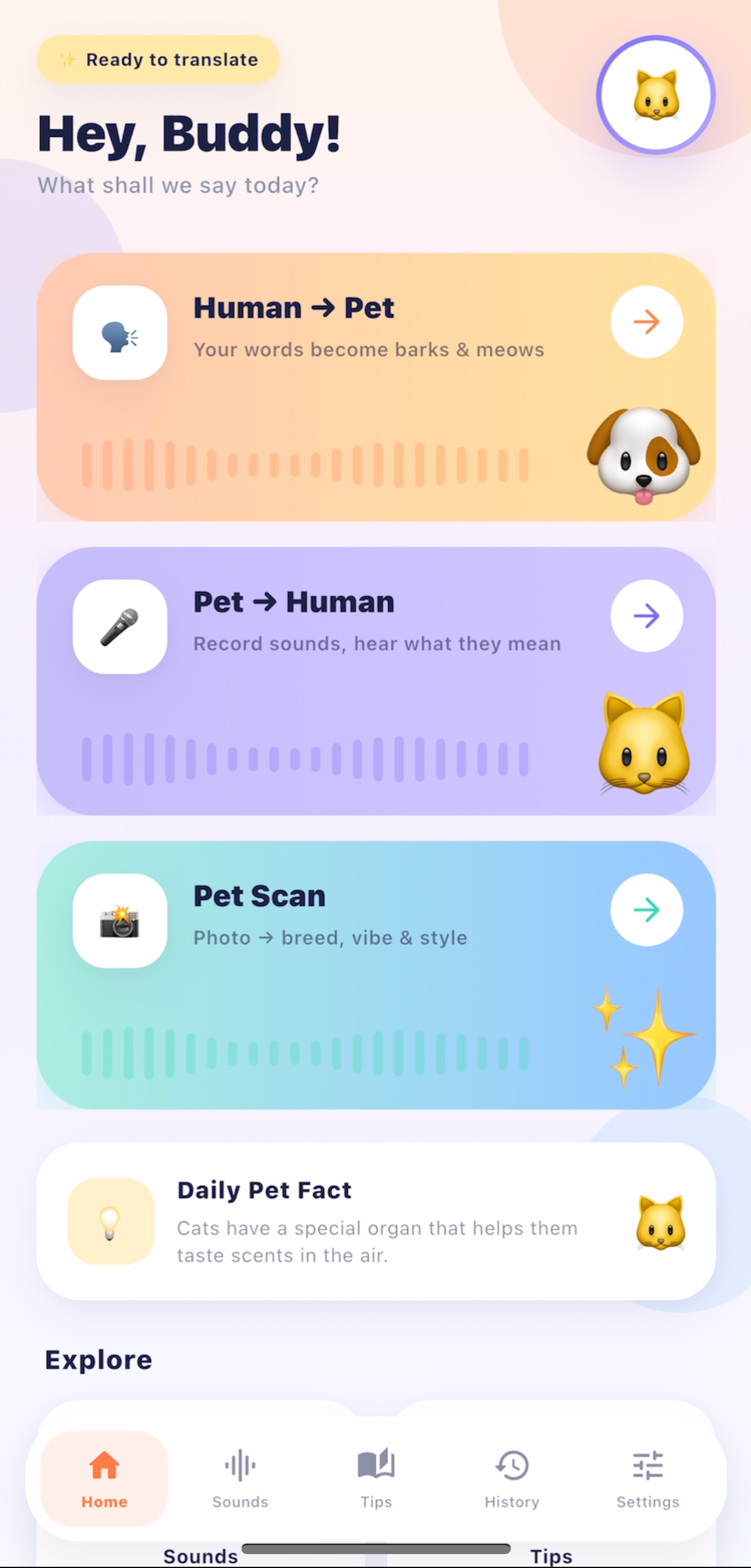 HiPaw home screen